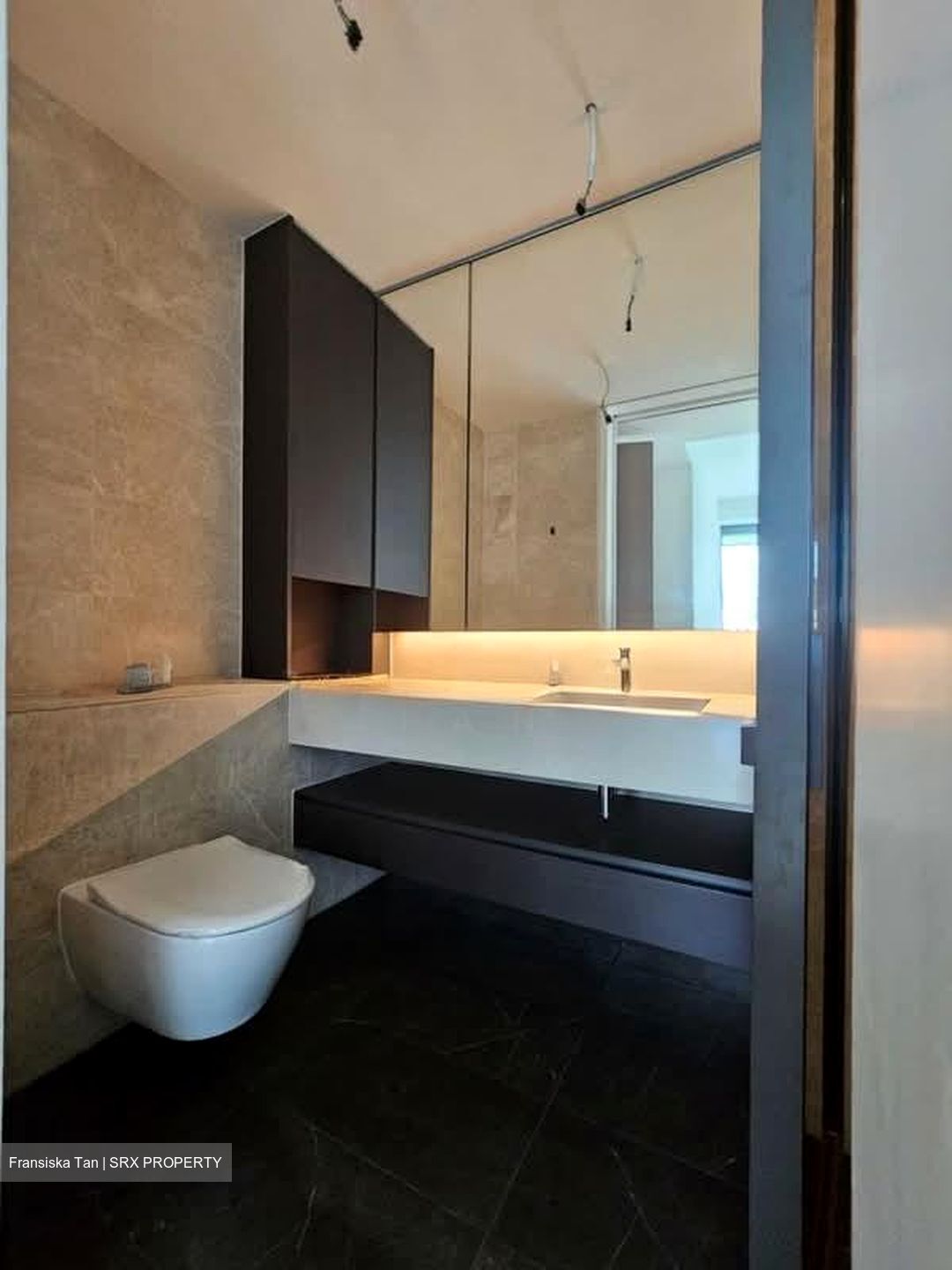 Amber Park (D15), Condominium #555961031